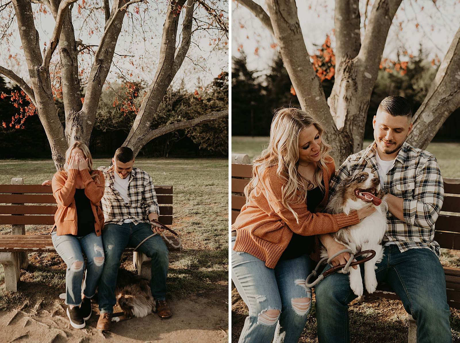 Candid shots of couple sitting on bench and interacting with dog