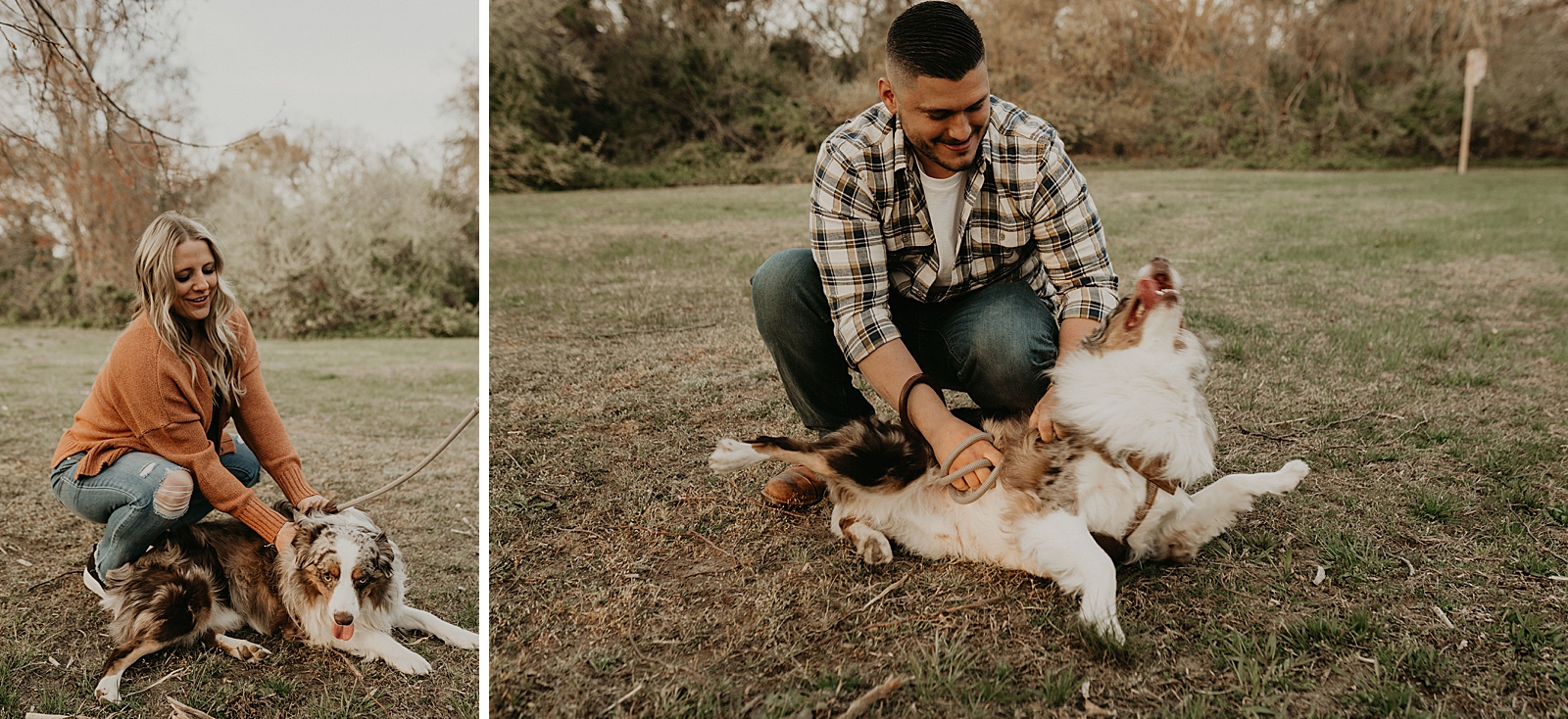 Individual portraits of couple petting and playing with dog on grassy field