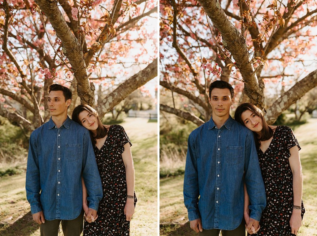 Couple holding hands underneath tree