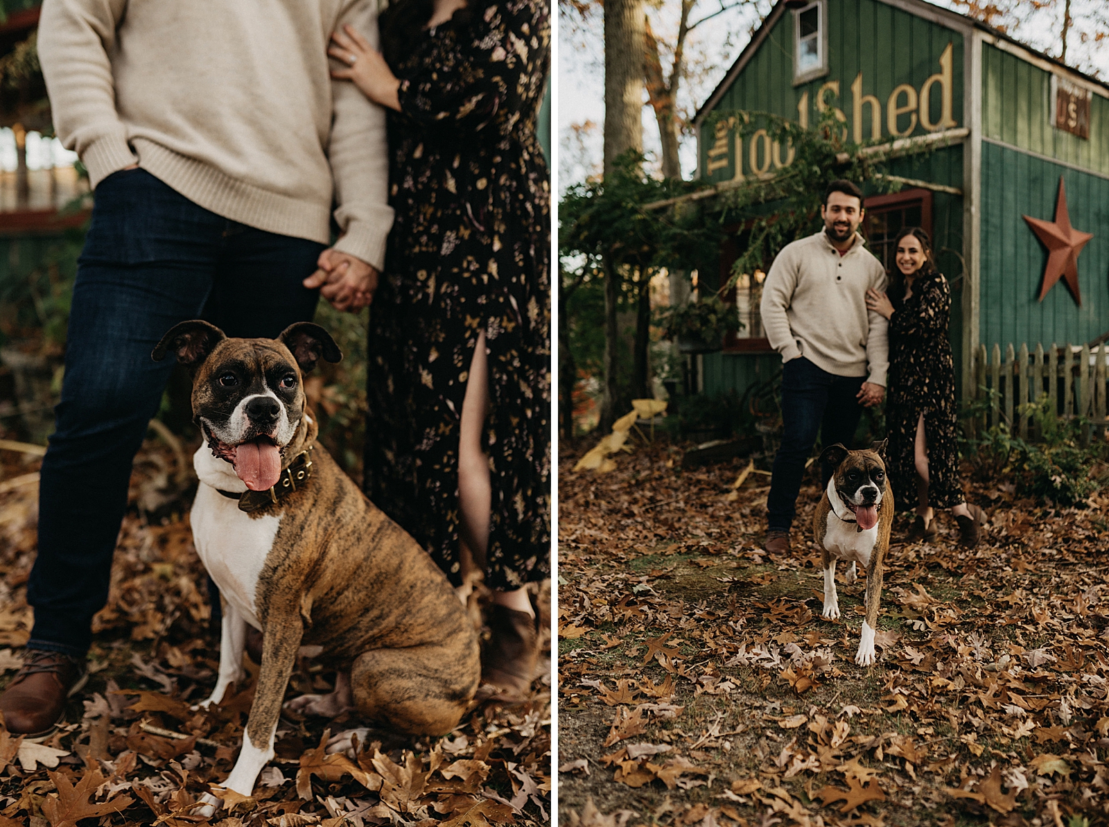 Couple standing together on dead leaf autumn ground with dog