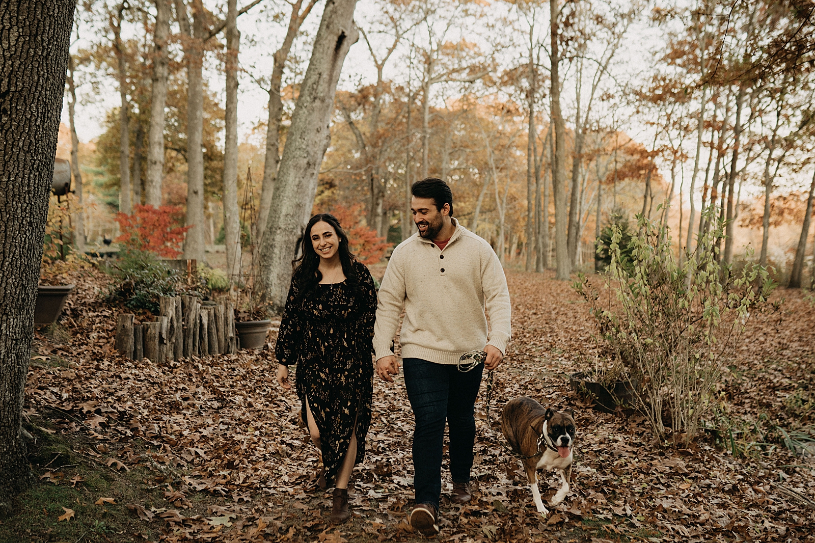 Couple holding hands and walking on Fall ground with dog with them