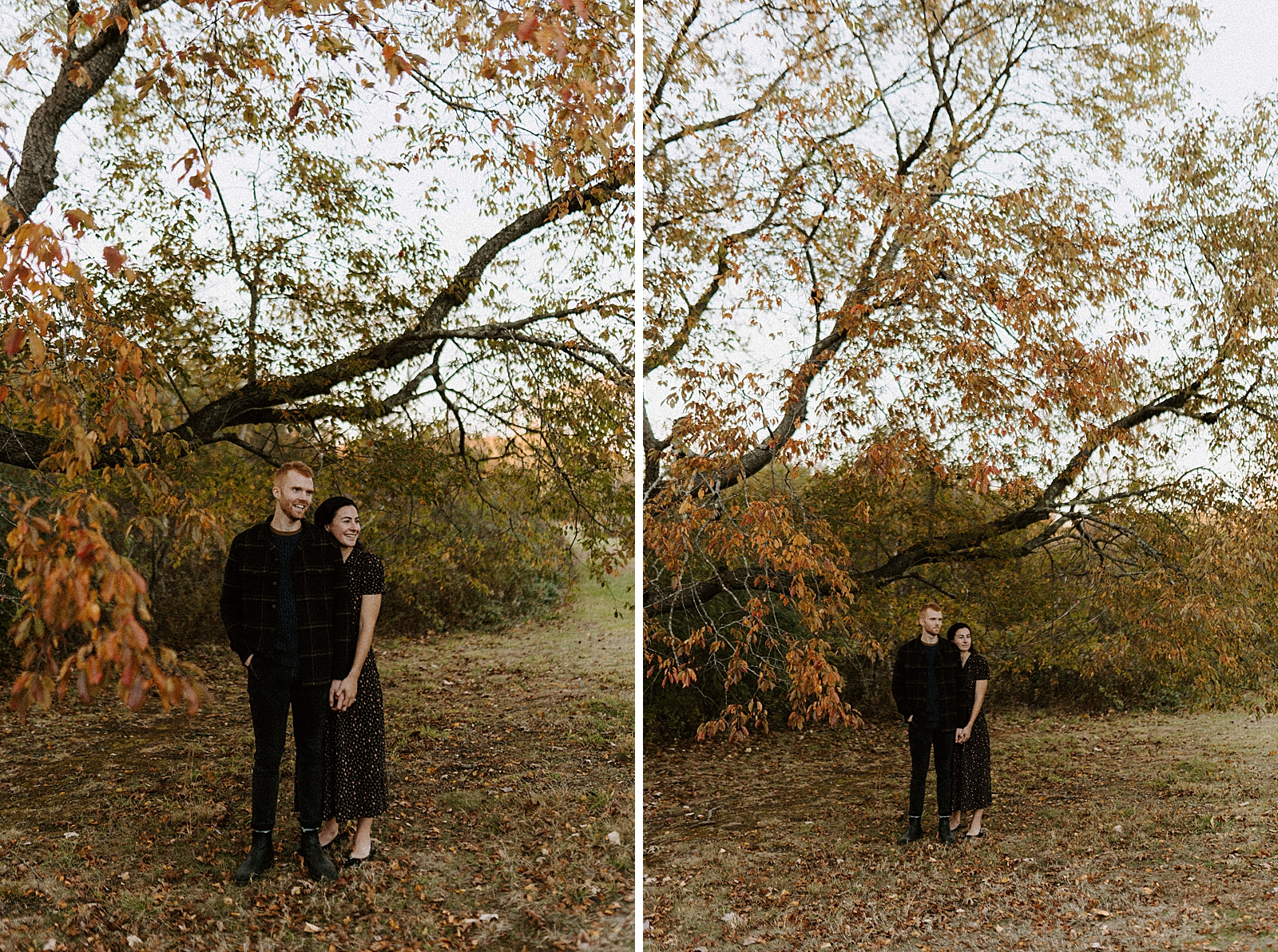 Couple under fall tree on grassy field