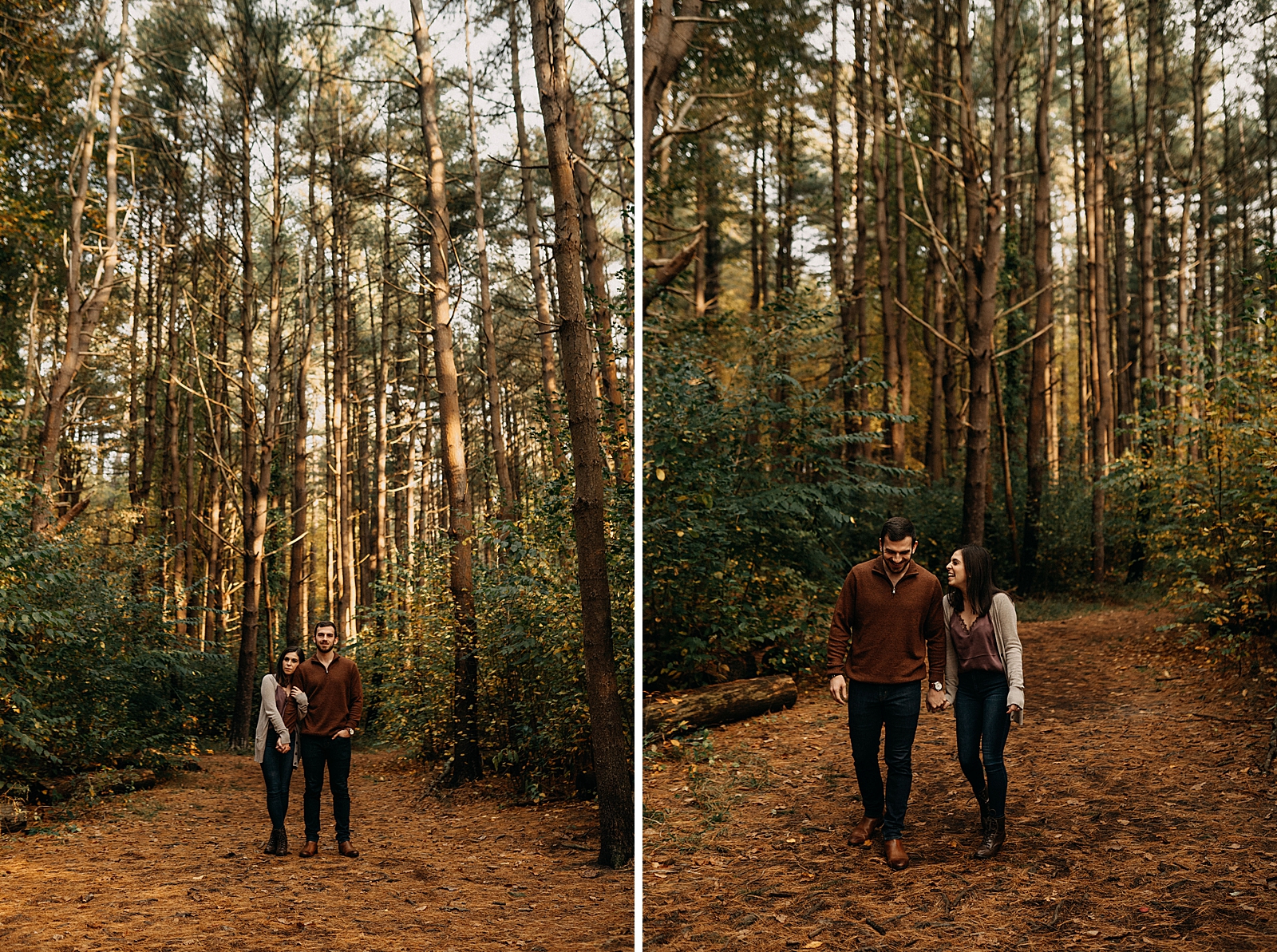 Couple holding hands and walking in tall tree forest together